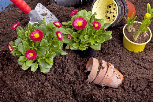 Accessible landscaping website content illustration for Landscapers Temple