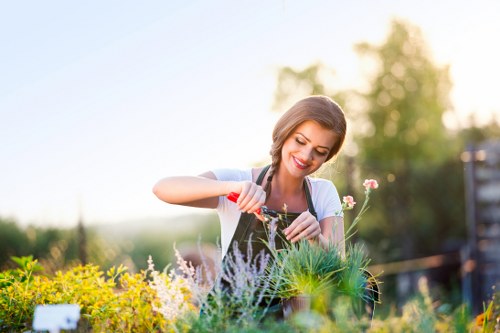 Professional landscapers shaping a Temple property with careful design