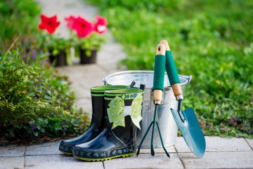 Residential and commercial garden clearance service in Temple