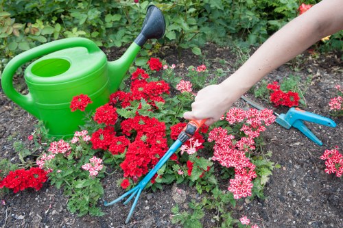Low-maintenance garden design for a Temple home