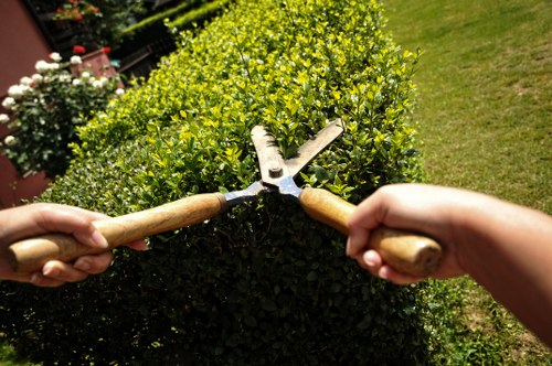 Local landscaping professionals planning a Temple yard design