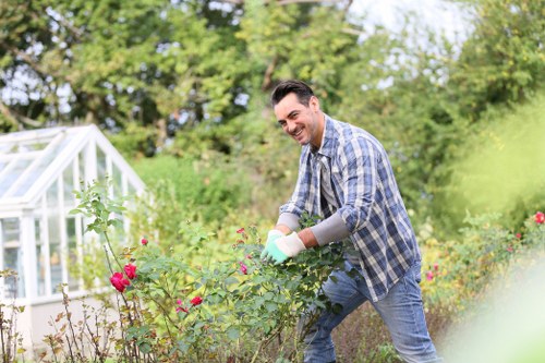 Garden waste and landscaping clearance from a suburban home