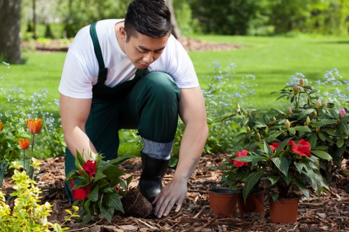 Landscapers Temple staff checking hazards before starting a project