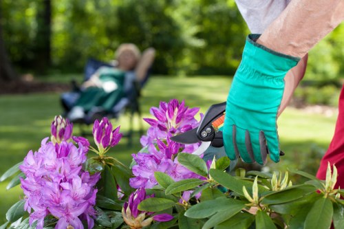 Professional landscaping service for homes and businesses in Temple