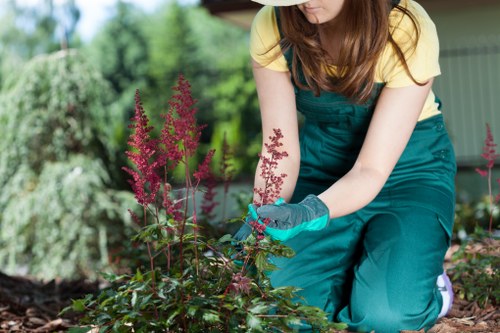 Recording a landscaping service complaint