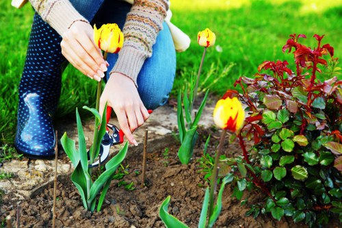 Temple landscaping team improving curb appeal with hardscape features