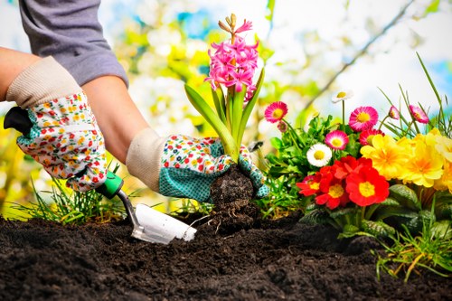 Screen-reader friendly web page layout for Temple landscaping services