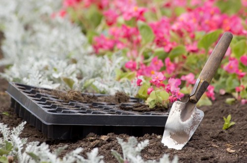 Tree service assessment and access planning for a Temple property