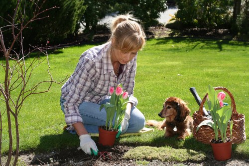 Garden clearance and layout preparation for a Temple property