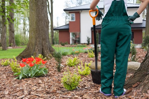 Outdoor garden care for a Temple property with access path and patio